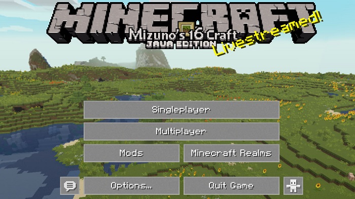 Minecraft 1.16.5 Java Edition Download