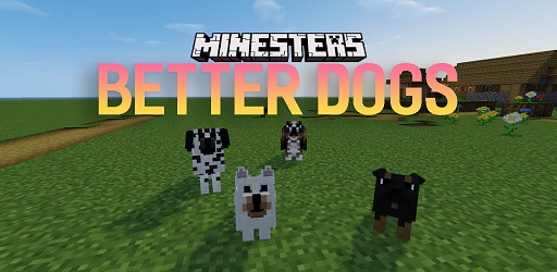 Better Dogs