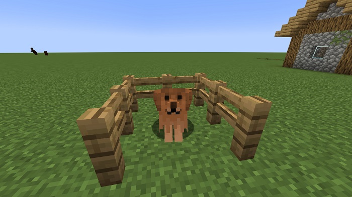 better dogs texture pack